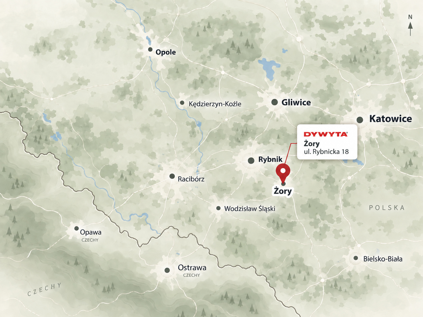 Salon DYWYTA Żory przy ul. Rybnickiej 18 — zdjęcie sklepu
